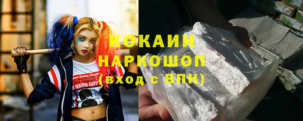 прущие грибы Вязники